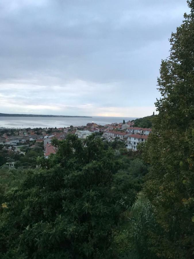 Milena Apartment Portorož Zewnętrze zdjęcie